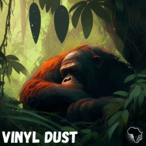 Vinyl Dust
